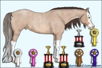 Horse Color:Amber Champagne Roan Splash Varnish 