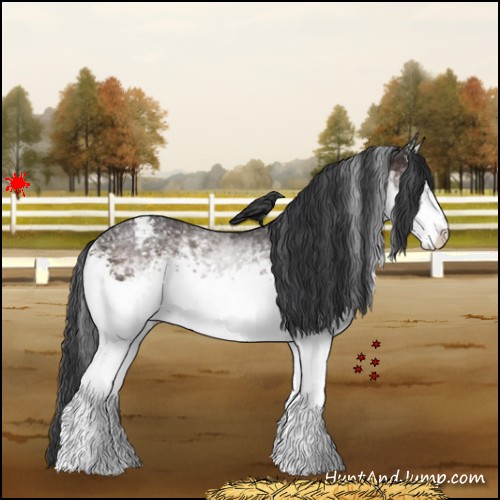 Horse Color:White Spotted Brown Snowflake Varnish 