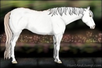 Horse Color:White Spotted Silver Buckskin Dun Snowflake Varnish 