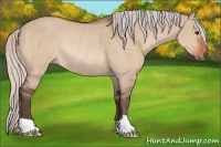 Horse Color:Silver Bay Dun Rabicano 