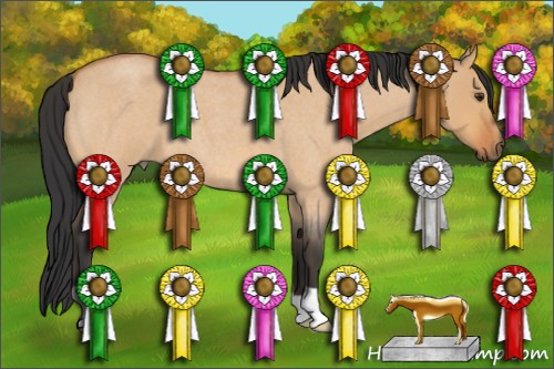 Horse Color:Bay Roan Dun 