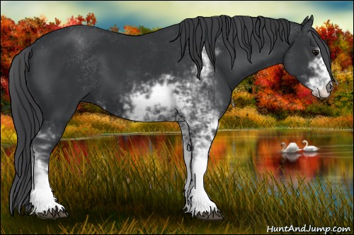 Horse Color:Black Sabino