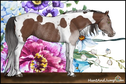 Horse Color:Bay Tobiano Rabicano 