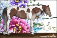 Horse Color:Bay Tobiano Rabicano 