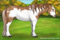 Horse Color:Chestnut Splash Frame  and Chestnut Splash Frame 