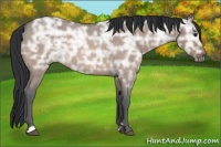 Horse Color:Bay Ice Roan Dun Rabicano