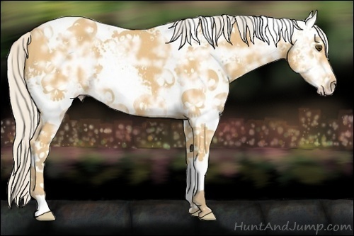 Horse Color:White Spotted Silver Buckskin Ice Tobiano Rabicano