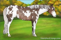 Horse Color:White Spotted Silver Black Sabino Rabicano 