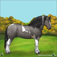 Horse Color:White Spotted Grullo Tobiano 