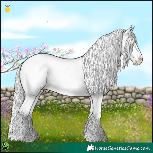 Horse Color:White Spotted Silver Classic Champagne Dun Appaloosa 
