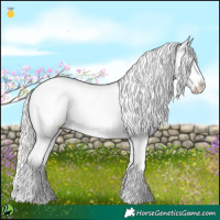 Horse Color:White Spotted Silver Classic Champagne Dun Appaloosa 