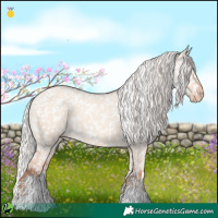 Horse Color:White Spotted Silver Classic Champagne Dun Appaloosa 