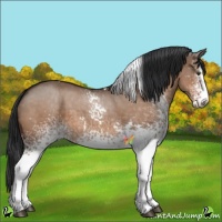 Horse Color:White Spotted Brown Dun Tobiano 