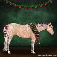 Horse Color:Silver Bay Ice 