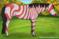 Horse Color:Gray Black 