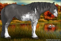 Horse Color:Black Sabino