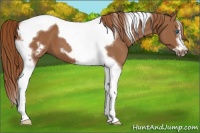 Horse Color:Chestnut Tobiano Frame