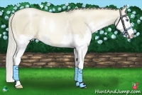 Horse Color:White Spotted Chocolate Palomino Pearl Dun Splash 