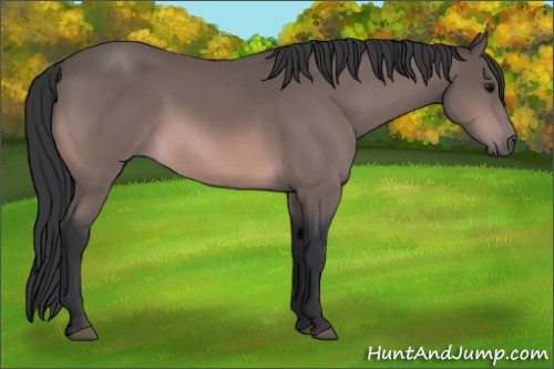 Horse Color:Platinum Bay 