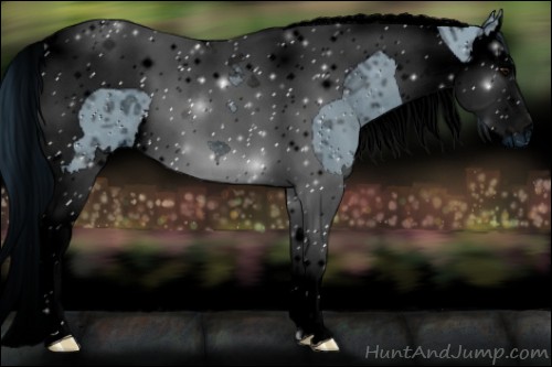 Horse Color:ERROR: UNKNOWN ANOMALY