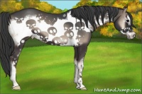 Horse Color:Blue Onyx Sabino Frame 