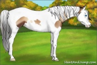 Horse Color:Liver Red Onyx Splash Tobiano 