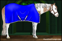 Horse Color:White Spotted Red Dun Splash 