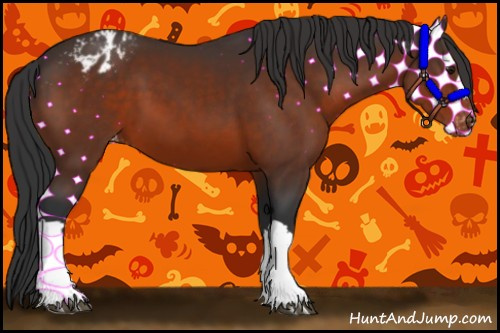 Horse Color:Brown Appaloosa 