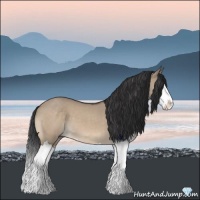 Horse Color:Bay Roan Dun Splash