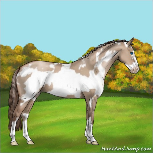Horse Color:White Spotted Grullo Pearl Frame 