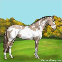 Horse Color:White Spotted Grullo Pearl Frame 