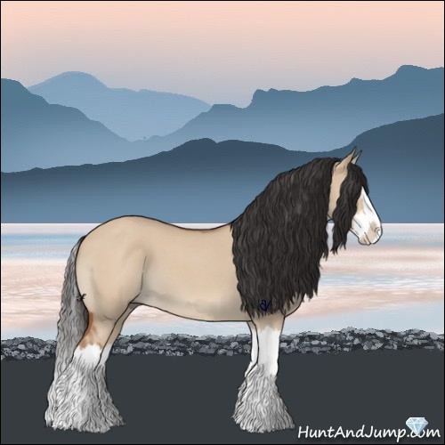 Horse Color:Bay Roan Dun Splash 