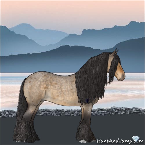 Horse Color:Buckskin Roan Dun 