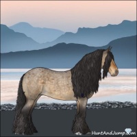 Horse Color:Buckskin Roan Dun