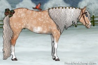 Horse Color:Silver Bay Dun Sabino Tobiano Frame Rabicano 