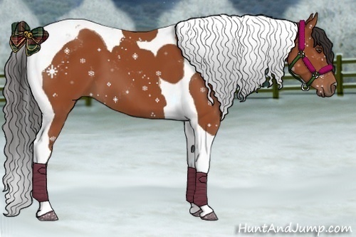 Horse Color:Brown Tobiano 