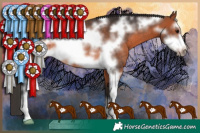 Horse Color:Bay Sabino Frame Rabicano