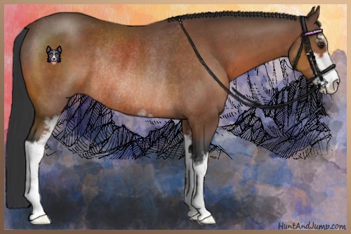 Horse Color:Brown Sabino Rabicano