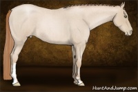 Horse Color:Smoky Blue Roan Pearl Frame 
