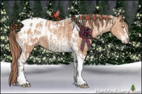 Horse Color:Amber Champagne Sabino Tobiano Appaloosa and Gold Champagne Sabino Tobiano Appaloosa