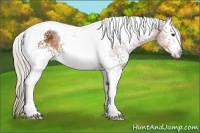 Horse Color:White Spotted Silver Buckskin Tobiano 