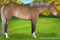Horse Color:Silver Buckskin Rabicano 