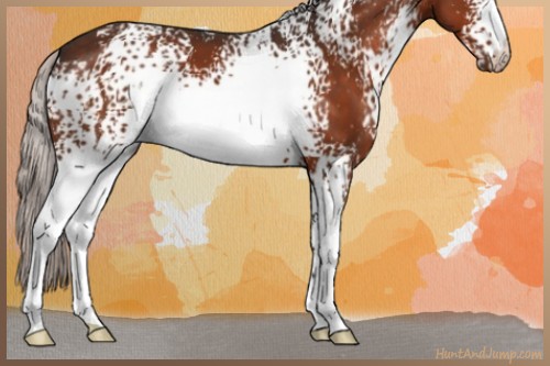Horse Color:White Spotted Silver Brown Mushroom