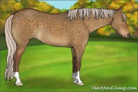 Horse Color:Silver Buckskin Dun 