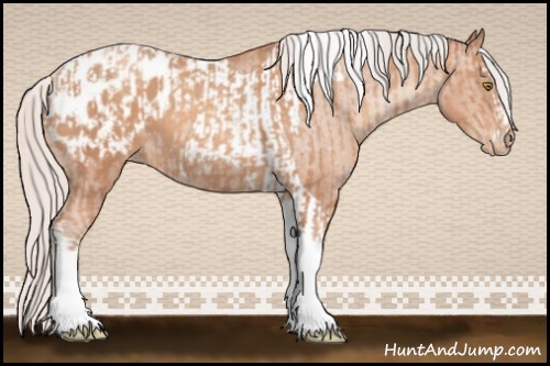 Horse Color:Silver Amber Champagne Sabino Tobiano Appaloosa  and Silver Sable Champagne Sabino Tobiano Appaloosa 