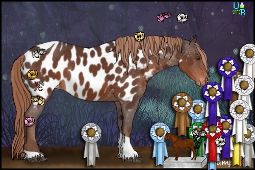 Horse Color:Liver Chestnut Tobiano Near Leopard Rabicano 