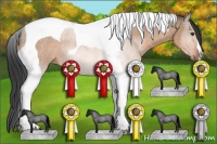 Horse Color:Brown Roan Dun Tobiano Rabicano