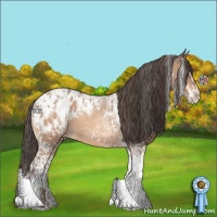 Horse Color:Amber Champagne Sabino Tobiano Blanket  and Amber Champagne Sabino Tobiano Blanket 
