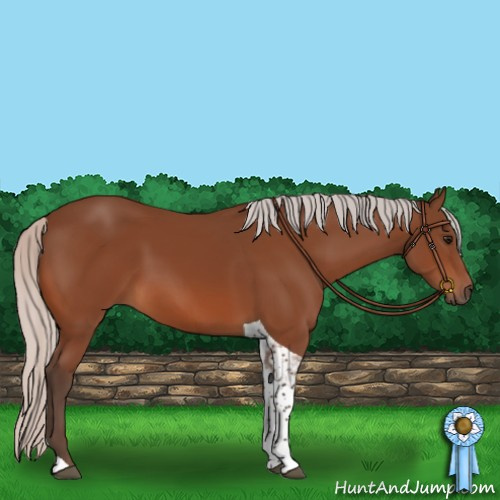 Horse Color:Silver Bay Tobiano