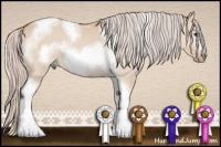 Horse Color:Silver Bay Dun Sabino Tobiano Frame Rabicano 